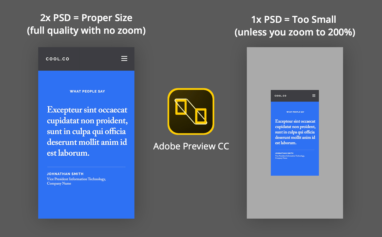 2x versus 1x in Adobe Preview CC